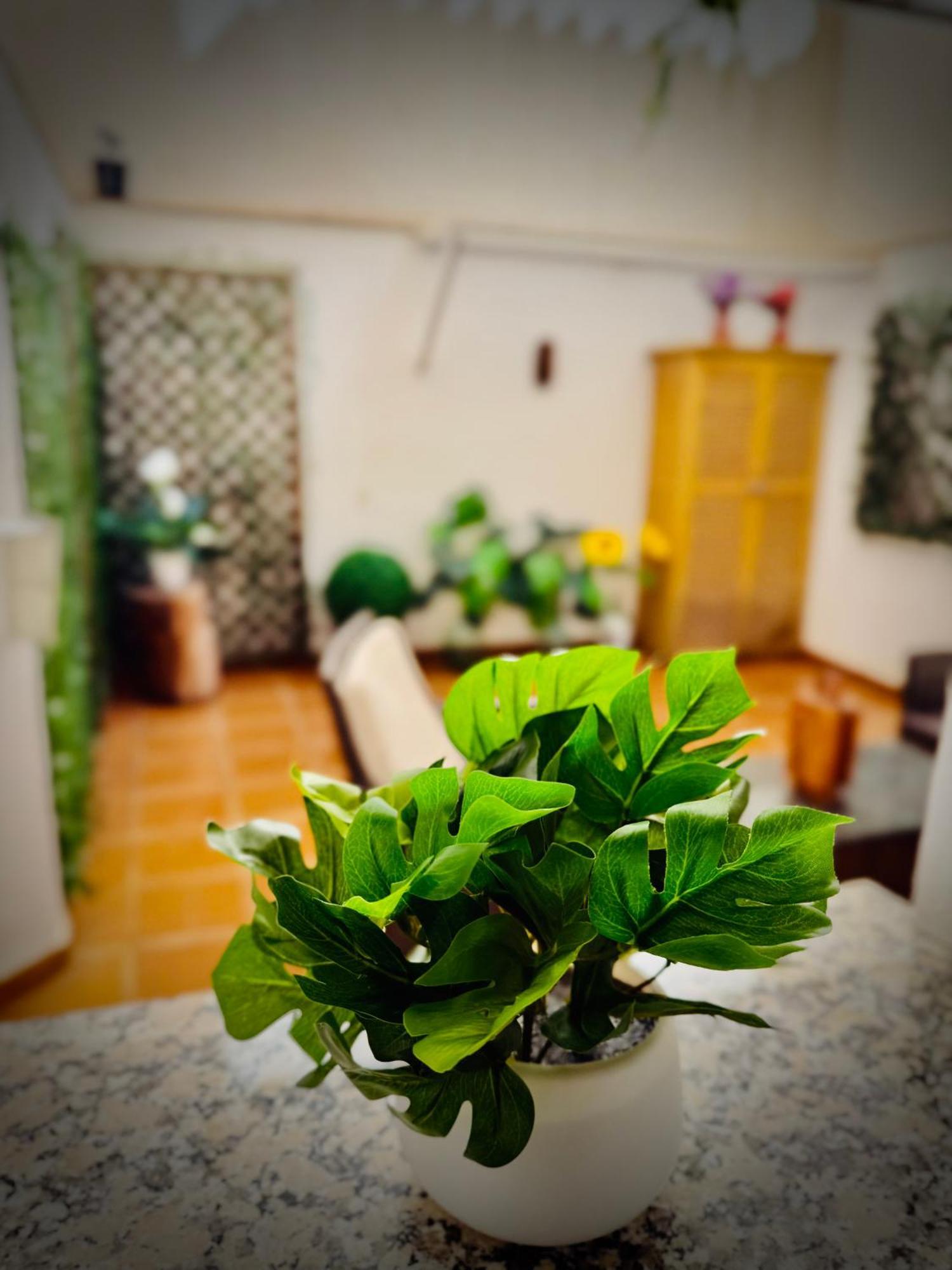 Centrico Con Parking Apartament *